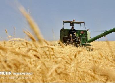 بیش از 104 میلیارد ریال پول گندم کاران گلستانی باقی مانده است