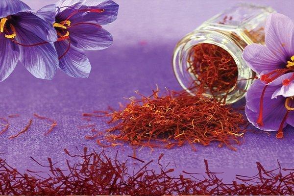 خرید روزانه 20 تن گل زعفران در خراسان رضوی خرید روزانه 20 تن گل زعفران در خراسان رضوی