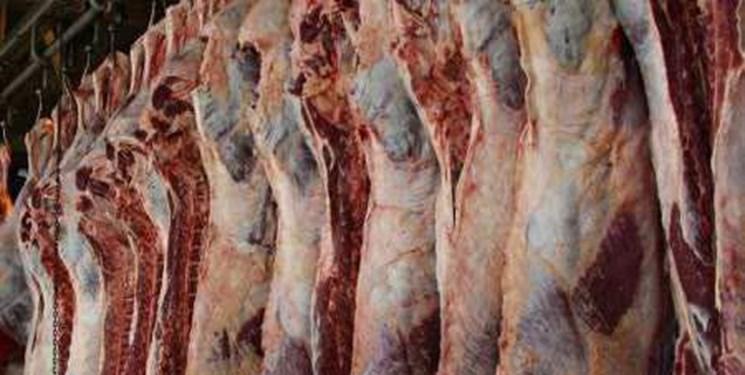 تولید حسگر زیستی برای شناسایی باکتری خطرناک گوشت تولید حسگر زیستی برای شناسایی باکتری خطرناک گوشت