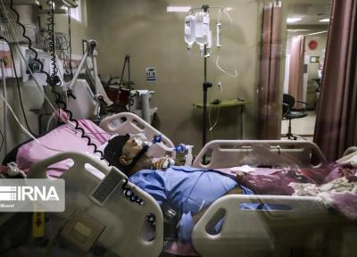 خبرنگاران آخرین آمار مرتبط با بیماری کرونا در استان سمنان اعلام شد