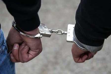 دستگیری 214 نفر از اراذل و اوباش در طرح اقتدار پلیس امنیت دستگیری 214 نفر از اراذل و اوباش در طرح اقتدار پلیس امنیت