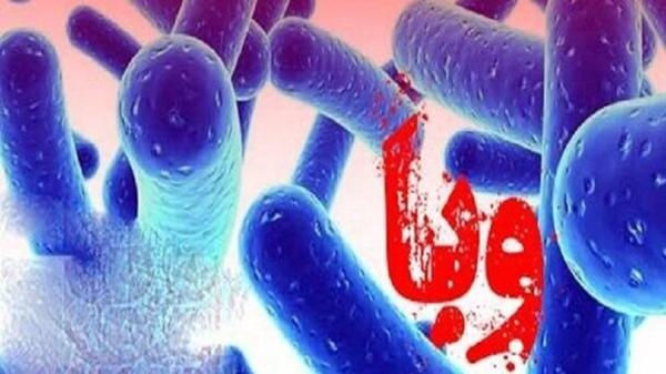 شناسایی 2 بیمار مبتلا به وبا در استان اردبیل