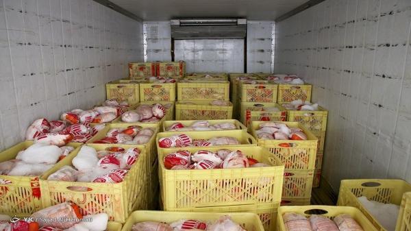 توزیع روزانه 6 هزار تن مرغ منجمد و گرم در کشور