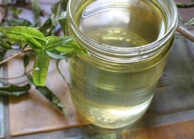 طرز تهیه شربت به لیمو خوشمزه و ضد عطش به 2 روش طب سنتی